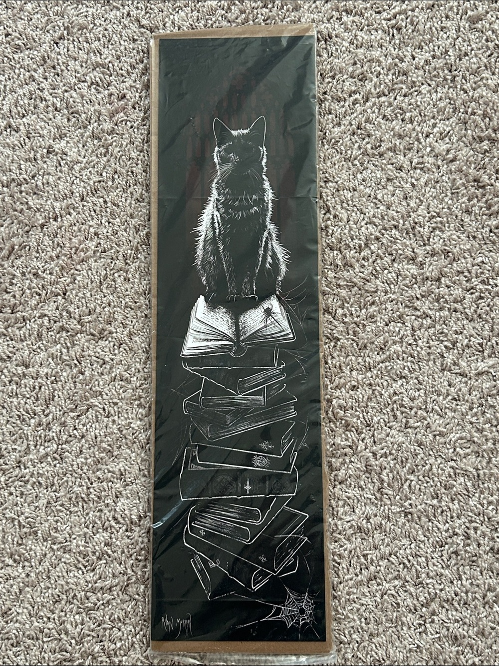 The Philosopher Art Print from Salem MA